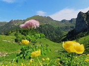 PASSO-LAGO-RIF. BRANCHINO con ANTICIMA sud Corno Branchino (1917 m)-23giu25- FOTOGALLERY